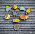 Pokemlerb Hard Enamel Pins • Cute Derpy Pokemon